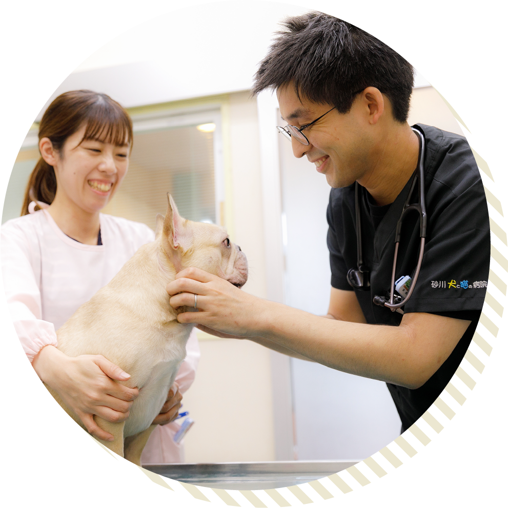 砂川犬と猫の病院